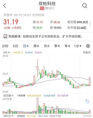 A股異動 雙槍科技(001211.SZ)漲停 擬新設(shè)全資子公司雙槍實業(yè)